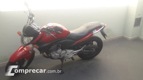 CB 300