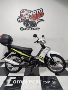 Crypton T115 ED