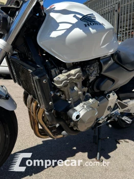hornet 600