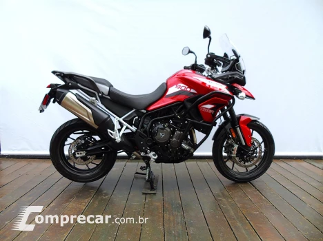 TRIUMPH TIGER 900 GT PRO