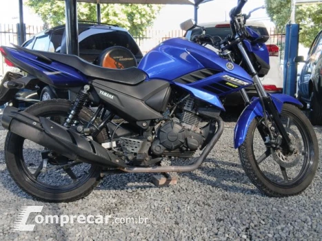 YS 150 FAZER SED - Street
