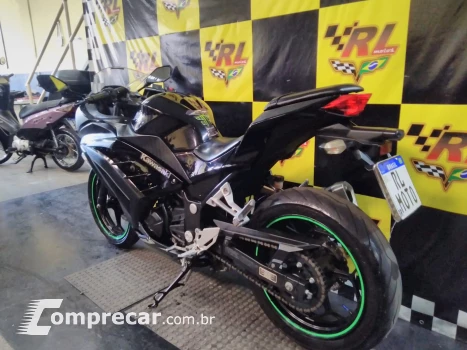 Ninja 300