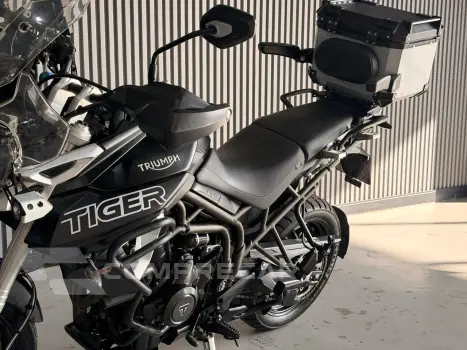 TIGER 800 XRT