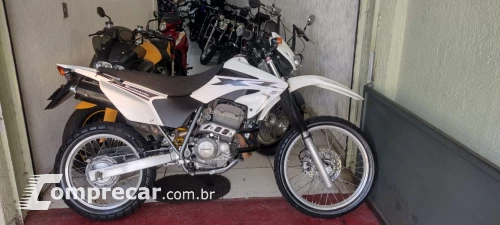 XR 250 tornado