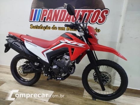 XR 300 Tornado