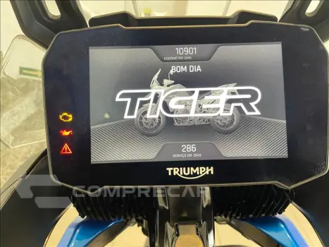 TIGER 900 GT PRO