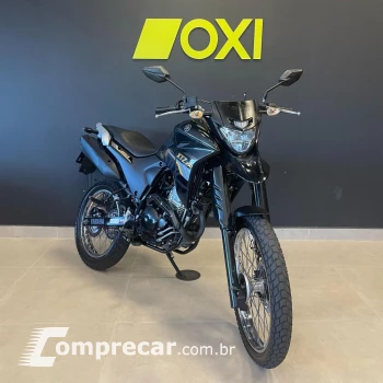 Yamaha XTZ 250 LANDER 249cc/LANDER BLUEFLEX/ABS
