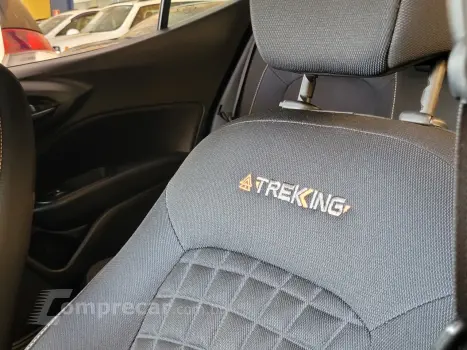 ARGO TREKKING 1.3 8V Flex