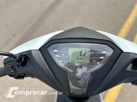 FLUO 125