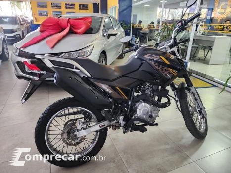 XTZ XTZ 150 CROSSER Z FLEX