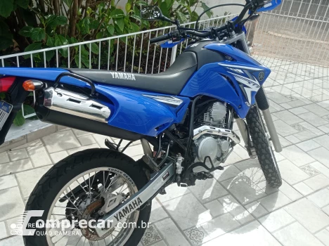 XTZ Lander