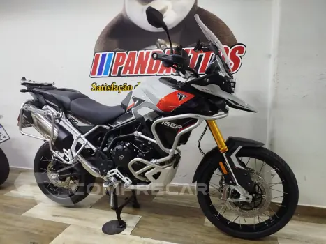 TIGER 900 RALLY PRO