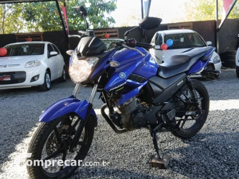 YS 150 FAZER SED - Street