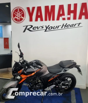 Fz25  250 Connected