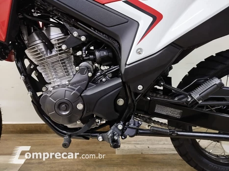 XR 300L 50 cc