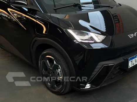 Dolphin Mini (Elétrico)