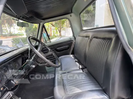 F 100 V8