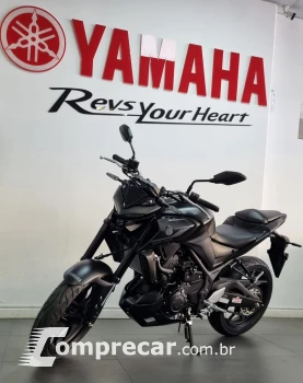 MT-03 Abs