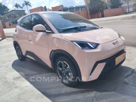 Dolphin Mini 38 KW ELÉTRICO