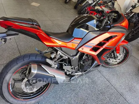 NINJA 300
