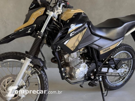 XTZ 150 CROSSER Z FLEX