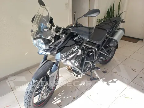 Tiger 800 Xrx