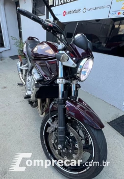 BANDIT 1250