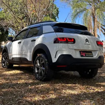 C4 CACTUS FEEL AT
