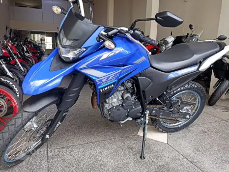 XTZ 250 LANDER 249cc/LANDER BLUEFLEX/ABS