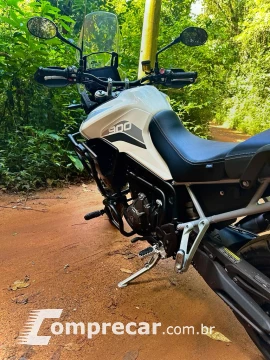 Tiger 900 GT
