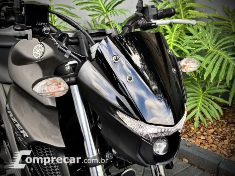 FZ25 FAZER 250 ABS