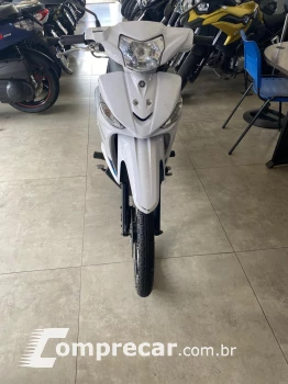 T115 CRYPTON ED