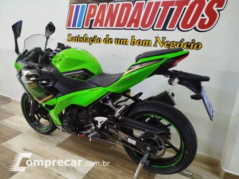 Ninja 300 cc