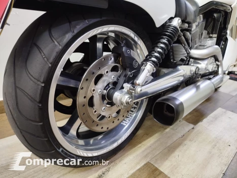 V Rod Custom 1250 cc