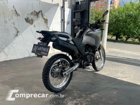 XTZ 250 TENERE/TENERE BLUEFLEX
