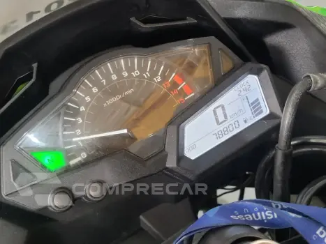 NINJA 300