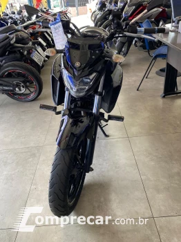 FZ 25 FAZER 250