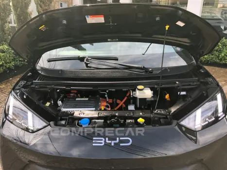 Dolphin Mini 38 Kw Elétrico Gs