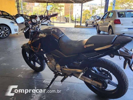 YS 250 Fazer