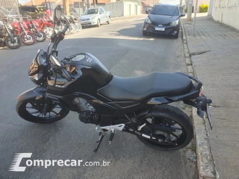 Fz15