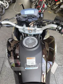 XTZ 250 TENERE/TENERE BLUEFLEX