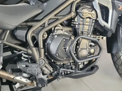 TIGER 1200 EXPLORER XR