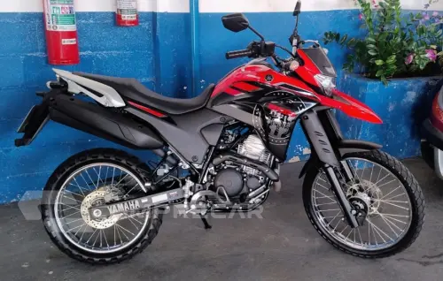 XTZ LANDER