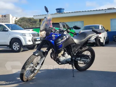 Yamaha XTZ 250 TENERE/TENERE BLUEFLEX