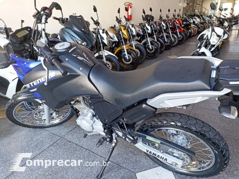 XTZ 250 TENERE/TENERE BLUEFLEX