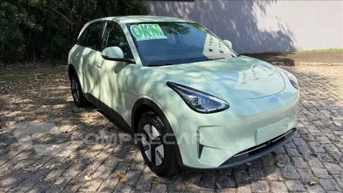 EX2 39,4 KW ELÉTRICO PRO