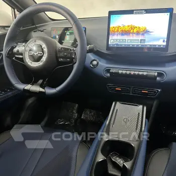 Dolphin Mini (Elétrico)