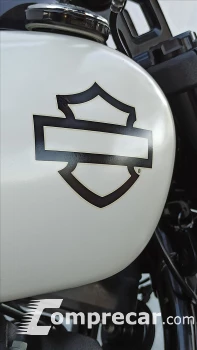SOFTAIL FAT BOB 114