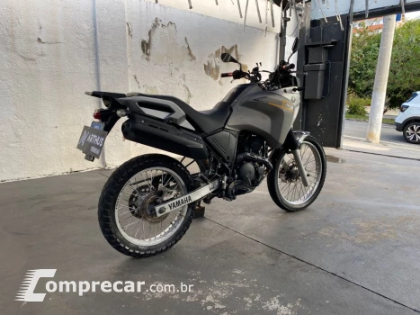 XTZ 250 TENERE/TENERE BLUEFLEX