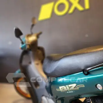 C 100 BIZ/ 100 BIZ KS